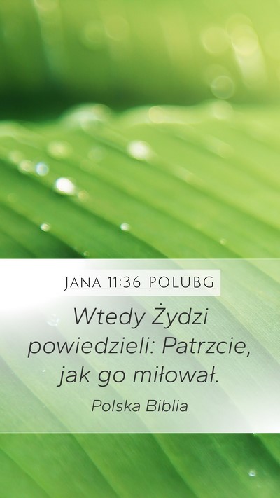 Jana 11:36 POLUBG Bible Verse Image