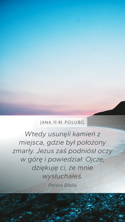 Jana 11:41 POLUBG Bible Verse Image
