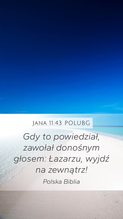 Jana 11:43 POLUBG Bible Verse Image