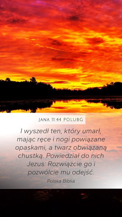 Jana 11:44 POLUBG Bible Verse Image