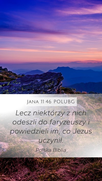 Jana 11:46 POLUBG Bible Verse Image