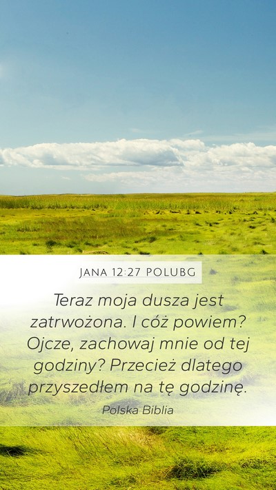 Jana 12:27 POLUBG Bible Verse Image