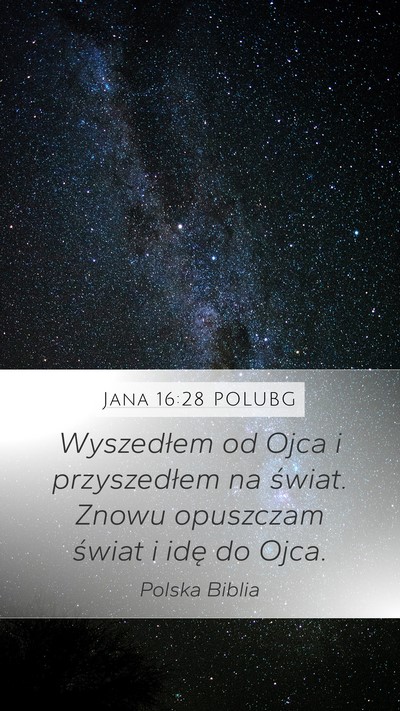 Jana 16:28 POLUBG Bible Verse Image