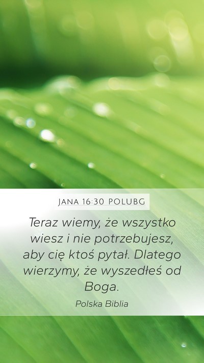 Jana 16:30 POLUBG Bible Verse Image