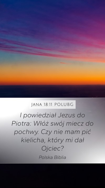 Jana 18:11 POLUBG Bible Verse Image