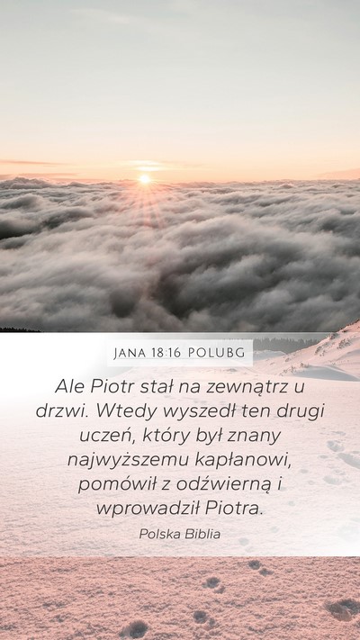 Jana 18:16 POLUBG Bible Verse Image