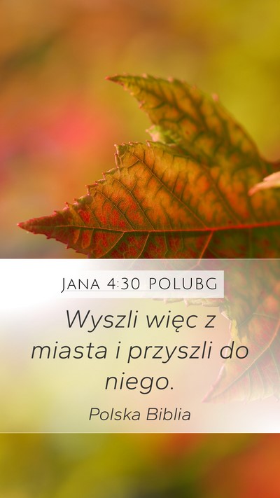 Jana 4:30 POLUBG Mobile Phone Wallpaper - Wyszli więc z miasta i przyszli do - Mobile Bible Verse Wallpaper
