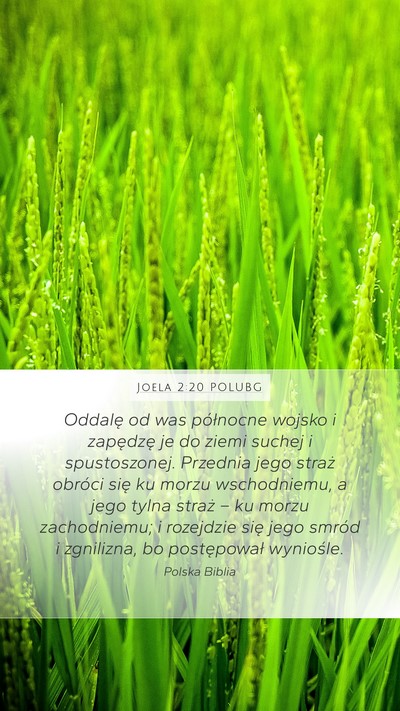 Joela 2:20 POLUBG Mobile Phone Wallpaper - Oddalę od was północne wojsko i zapędzę je - Mobile Bible Verse Wallpaper