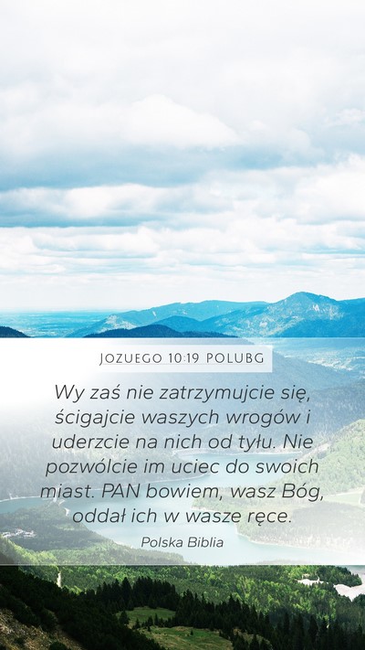 Jozuego 10:19 POLUBG Bible Verse Image