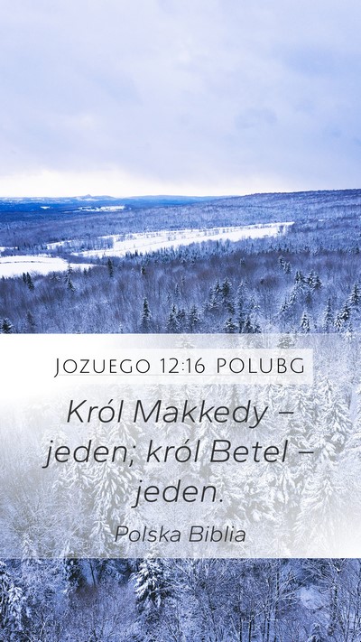 Jozuego 12:16 POLUBG Bible Verse Image