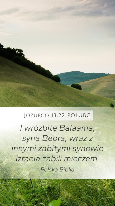Jozuego 13:22 POLUBG Bible Verse Image