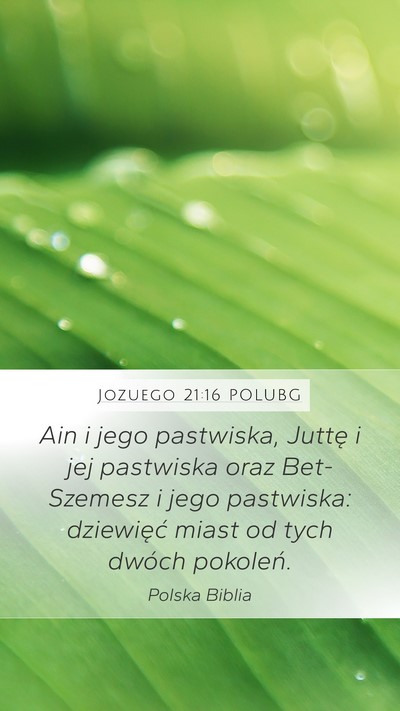 Jozuego 21:16 POLUBG Bible Verse Image