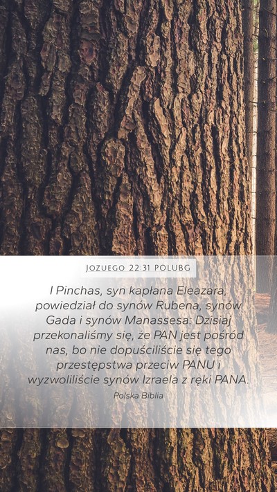 Jozuego 22:31 POLUBG Bible Verse Image