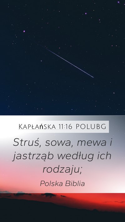 Kapłańska 11:16 POLUBG Mobile Phone Wallpaper - Struś, sowa, mewa i jastrząb według ich - Mobile Bible Verse Wallpaper