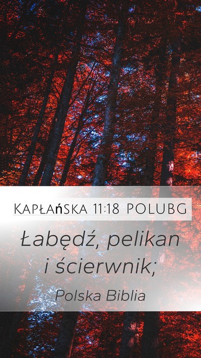 Kapłańska 11:18 POLUBG Mobile Phone Wallpaper - Łabędź, pelikan i - Mobile Bible Verse Wallpaper