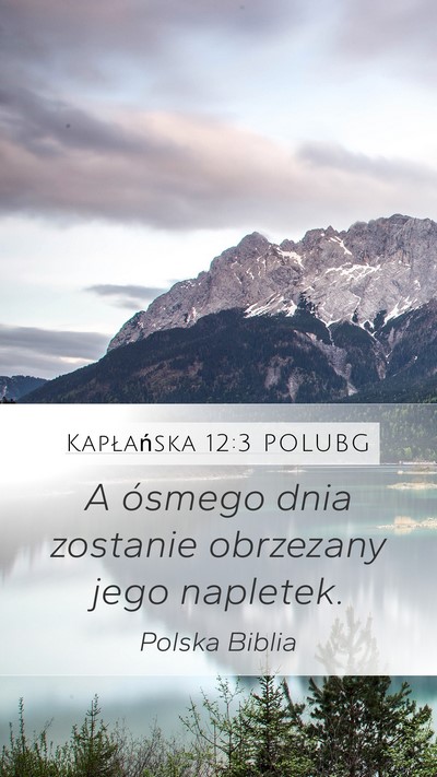 Kapłańska 12:3 POLUBG Bible Verse Image