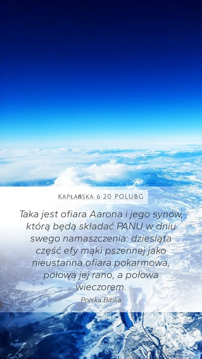 Kapłańska 6:20 POLUBG Bible Verse Image