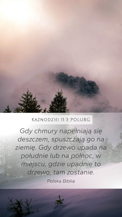 Kaznodziei 11:3 POLUBG Bible Verse Image