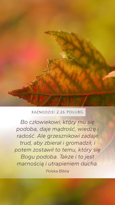 Kaznodziei 2:26 POLUBG Bible Verse Image
