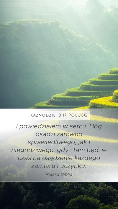 Kaznodziei 3:17 POLUBG Bible Verse Image