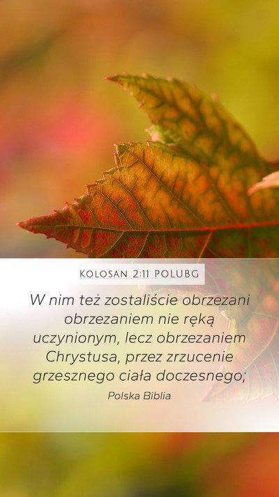 Kolosan 2:11 POLUBG Bible Verse Image