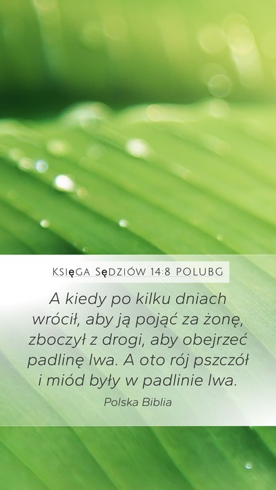 Księga Sędziów 14:8 POLUBG Mobile Phone Wallpaper - A kiedy po kilku dniach wrócił, aby ją pojąć - Mobile Bible Verse Wallpaper