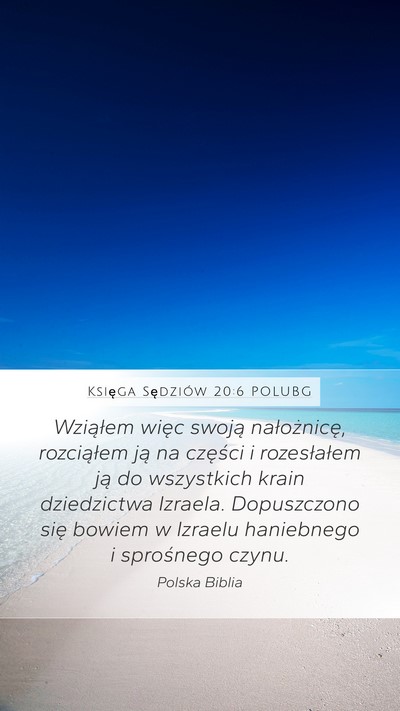 Księga Sędziów 20:6 POLUBG Bible Verse Image