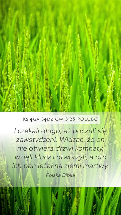 Księga Sędziów 3:25 POLUBG Mobile Phone Wallpaper - I czekali długo, aż poczuli się zawstydzeni. - Mobile Bible Verse Wallpaper