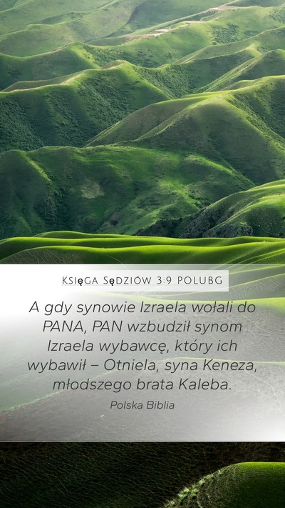 Księga Sędziów 3:9 POLUBG Bible Verse Image