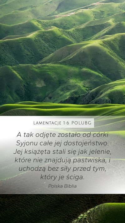 Lamentacje 1:6 POLUBG Mobile Phone Wallpaper - A tak odjęte zostało od córki Syjonu całe jej - Mobile Bible Verse Wallpaper