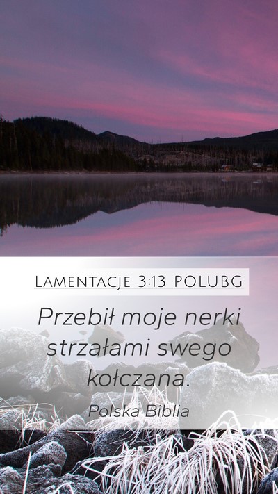 Lamentacje 3:13 POLUBG Bible Verse Image