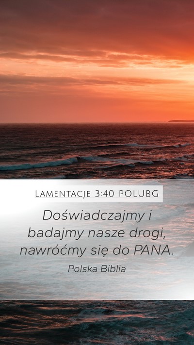 Lamentacje 3:40 POLUBG Bible Verse Image