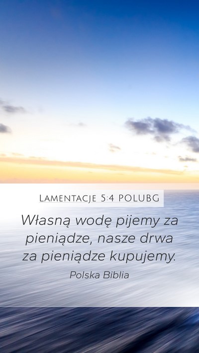 Lamentacje 5:4 POLUBG Mobile Phone Wallpaper - Własną wodę pijemy za pieniądze, nasze drwa - Mobile Bible Verse Wallpaper
