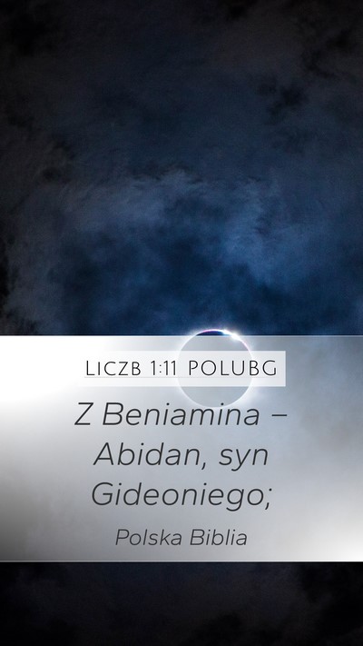 Liczb 1:11 POLUBG Mobile Phone Wallpaper - Z Beniamina – Abidan, syn - Mobile Bible Verse Wallpaper