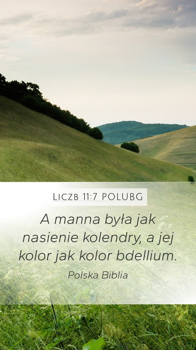 Liczb 11:7 POLUBG Bible Verse Image