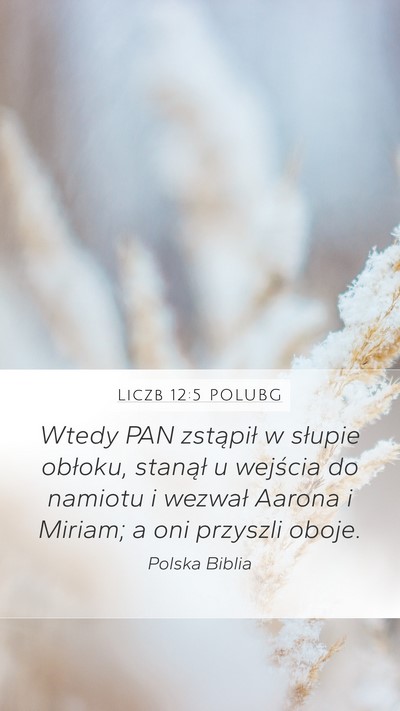 Liczb 12:5 POLUBG Mobile Phone Wallpaper - Wtedy PAN zstąpił w słupie obłoku, stanął u - Mobile Bible Verse Wallpaper