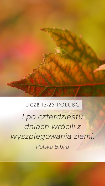 Liczb 13:25 POLUBG Bible Verse Image