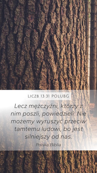 Liczb 13:31 POLUBG Mobile Phone Wallpaper - Lecz mężczyźni, którzy z nim poszli, - Mobile Bible Verse Wallpaper