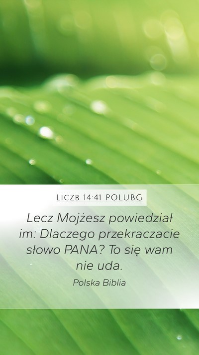 Liczb 14:41 POLUBG Bible Verse Image