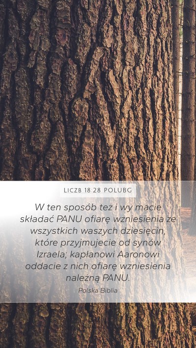 Liczb 18:28 POLUBG Mobile Phone Wallpaper - W ten sposób też i wy macie składać PANU - Mobile Bible Verse Wallpaper