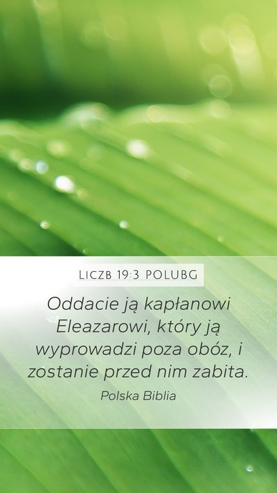 Liczb 19:3 POLUBG Bible Verse Image