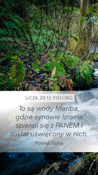 Liczb 20:13 POLUBG Bible Verse Image