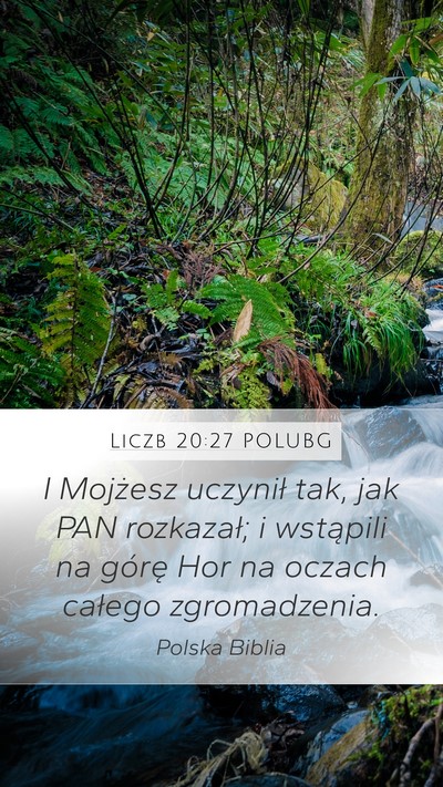 Liczb 20:27 POLUBG Bible Verse Image