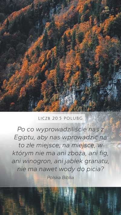 Liczb 20:5 POLUBG Mobile Phone Wallpaper - Po co wyprowadziliście nas z Egiptu, aby nas - Mobile Bible Verse Wallpaper