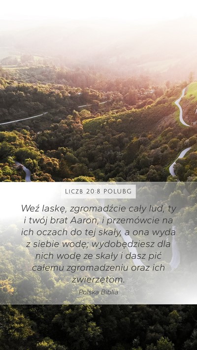 Liczb 20:8 POLUBG Mobile Phone Wallpaper - Weź laskę, zgromadźcie cały lud, ty i twój - Mobile Bible Verse Wallpaper