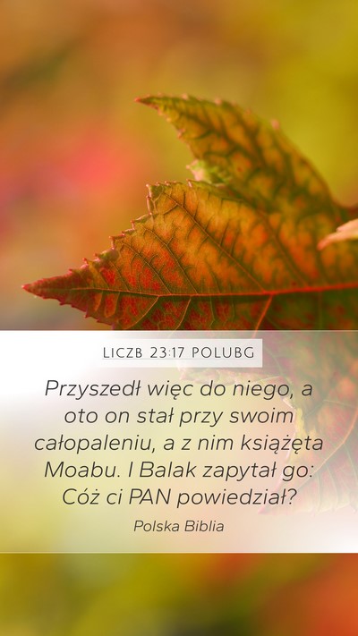 Liczb 23:17 POLUBG Mobile Phone Wallpaper - Przyszedł więc do niego, a oto on stał przy - Mobile Bible Verse Wallpaper