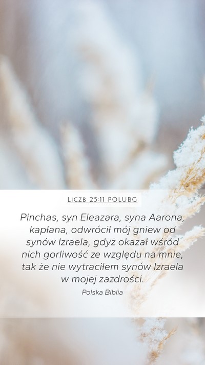 Liczb 25:11 POLUBG Bible Verse Image