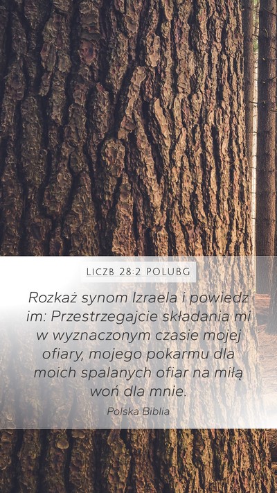 Liczb 28:2 POLUBG Mobile Phone Wallpaper - Rozkaż synom Izraela i powiedz im: - Mobile Bible Verse Wallpaper