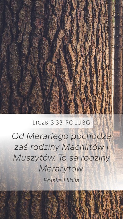 Liczb 3:33 POLUBG Bible Verse Image