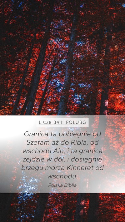 Liczb 34:11 POLUBG Bible Verse Image